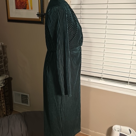Green Velvet Striped Dress - Large - Picture 3 of 5